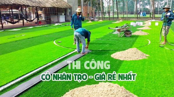Cỏ sân bóng mini